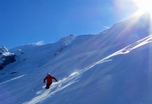 Ski dans poudreuse